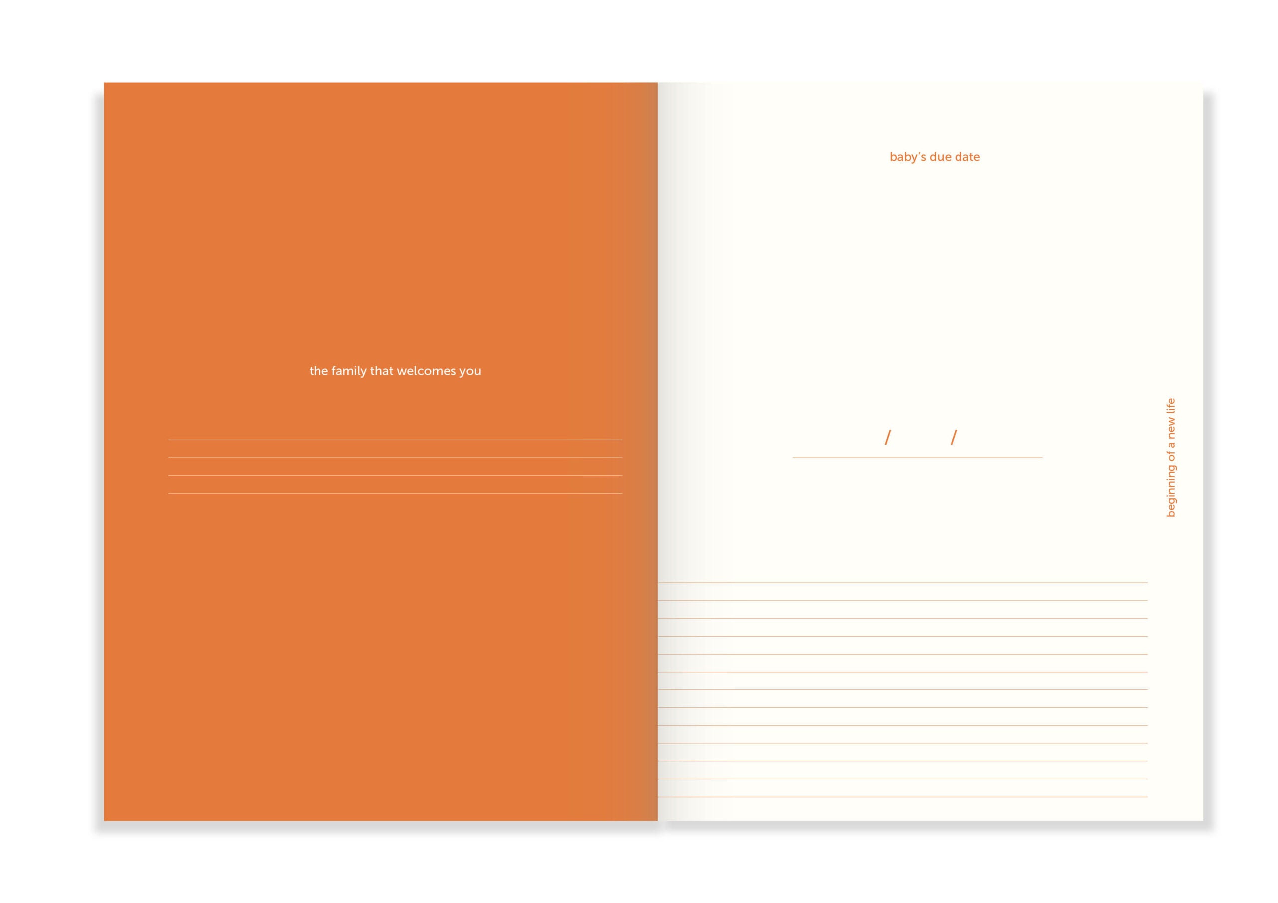 geschenke-fuer-schwangere-zur-geburt-dazwischen-freiburg-isabell-steinert-planer-journal-tagebuch