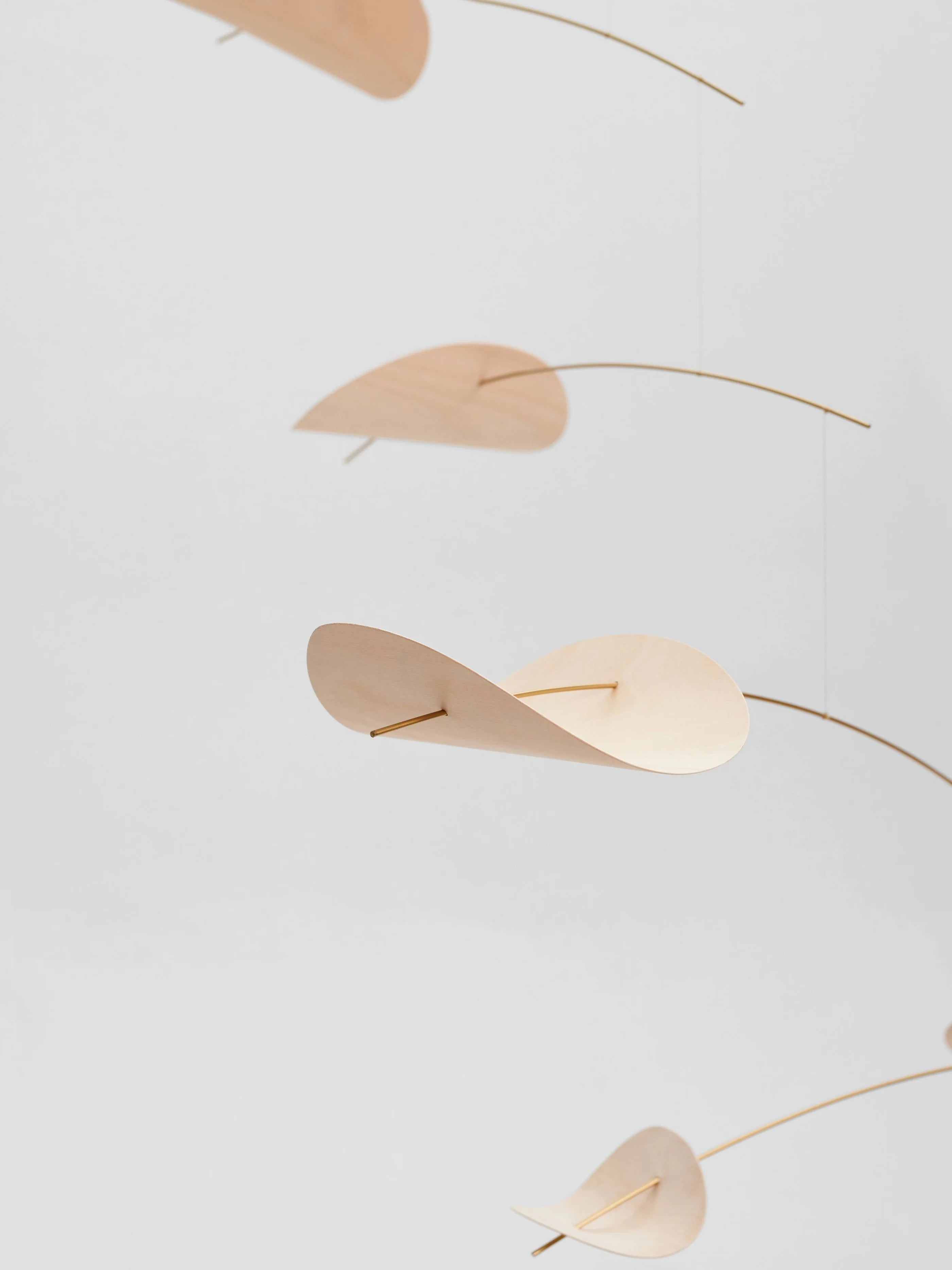 design-mobile-fuer-erwachsene-flensted-freiburg-dazwischen-concept-store