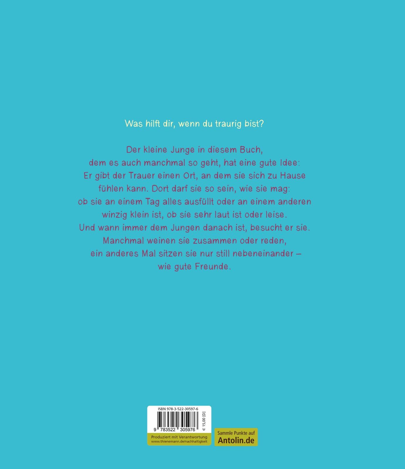 Ein Ort für meine Traurigkeit I Anne Booth, David Litchfield, Mechthild Schroeter-Rupieper