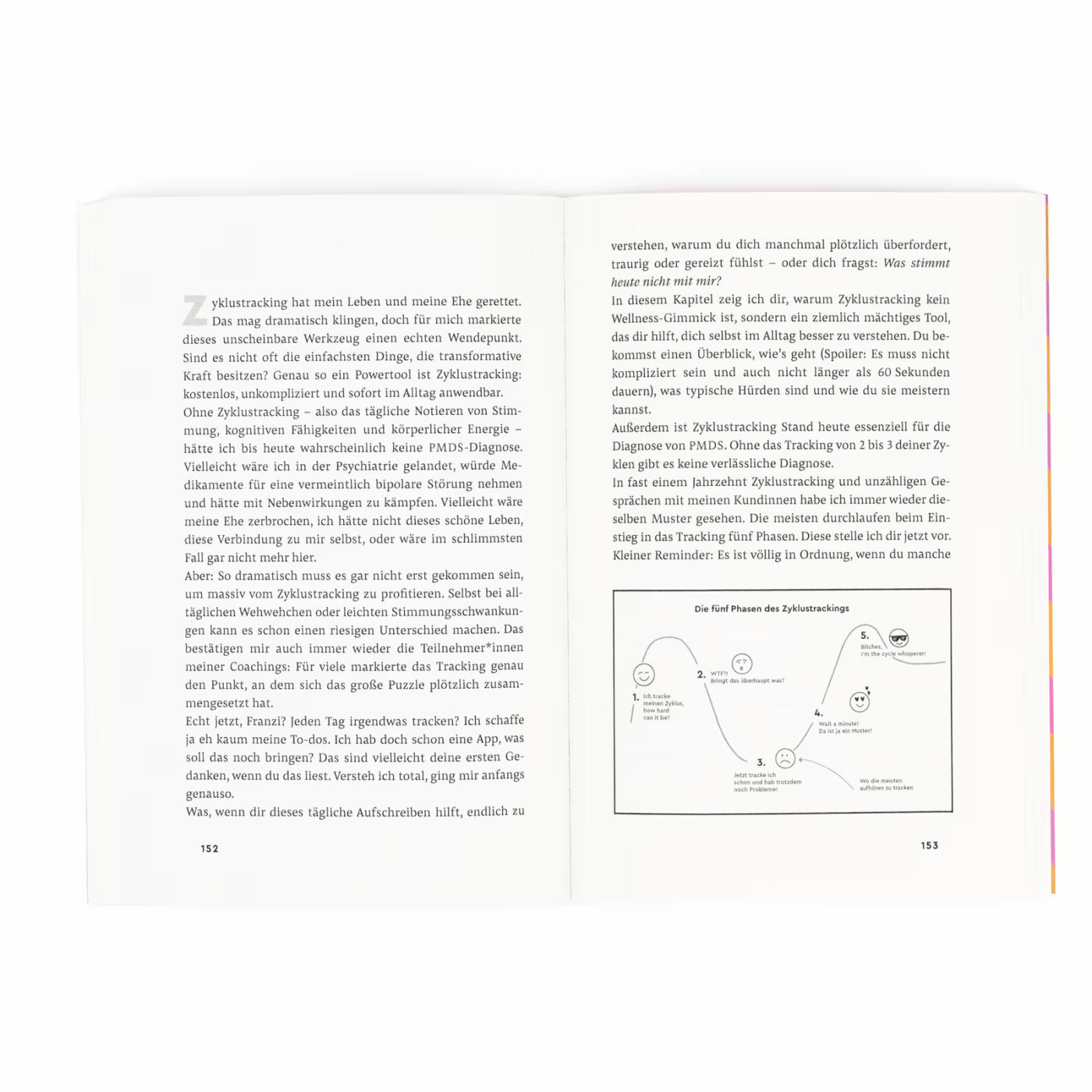 Buch ZYKLUS POWER | Franzi Ruhnau